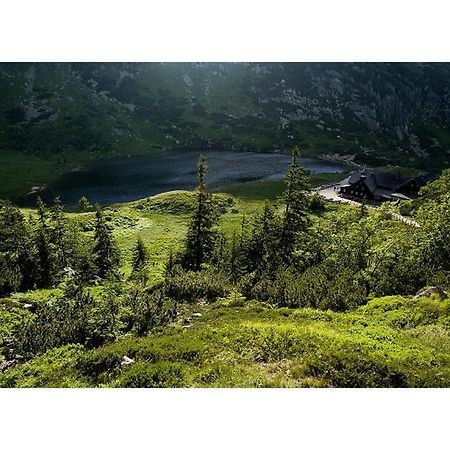 Schronisko Pttk Samotnia Pansiyon Karpacz Dış mekan fotoğraf