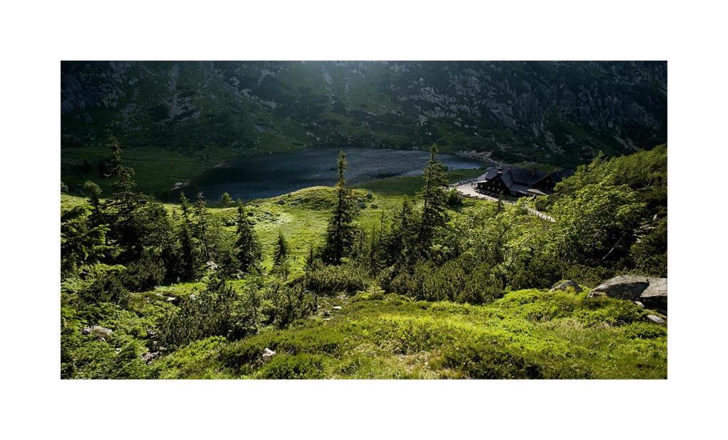 Schronisko Pttk Samotnia Pansiyon Karpacz Dış mekan fotoğraf